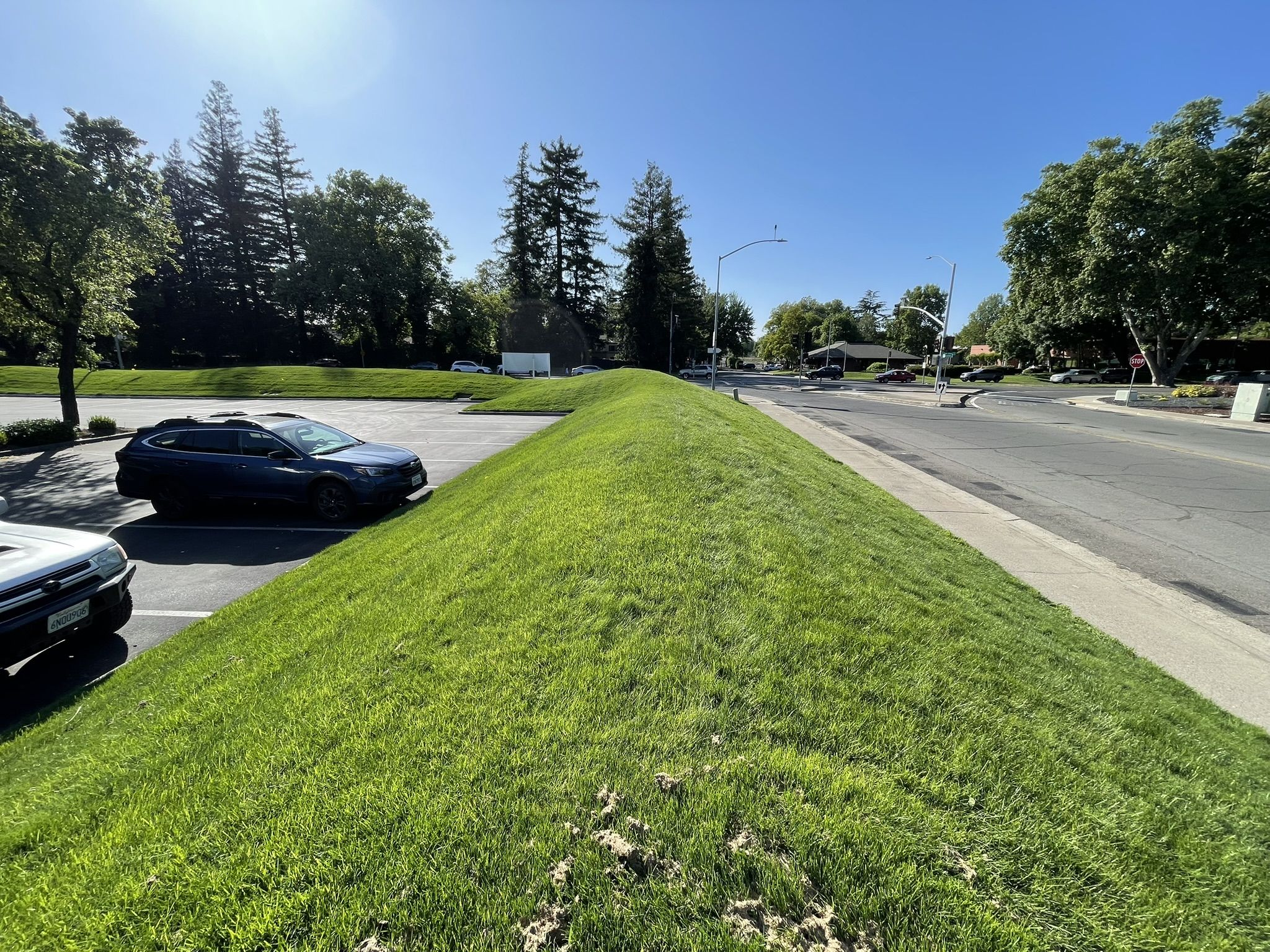 A lush green grass mound divides a parking lot from a road. Trees and parked cars are visible on both sides under a clear blue sky, conveying a serene suburban atmosphere.